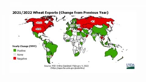 Global Grain Shortage Forecast March 2022