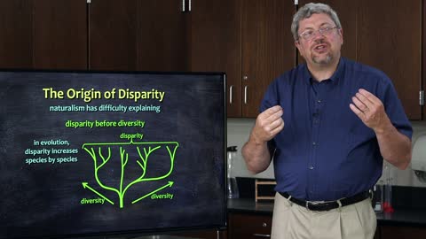 Where Did Biodiversity Come From? - Dr. Kurt Wise, Devotional Biology