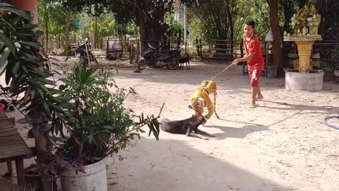 Wow Nice Prank Dog!!! Fake Tiger Prank Dog Try To Stop Laugh Challenge