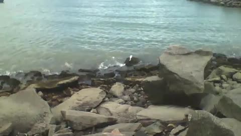 Filmando o mar calmo, as ondas acertam as pedras, há barcos de pesca [Nature & Animals]