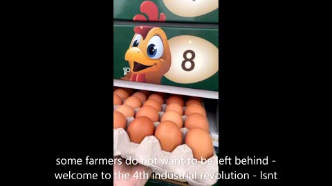 SOME FARMERS DO NOT WANT TO BE LEFT BEHIND -EGGS FOR SALE
