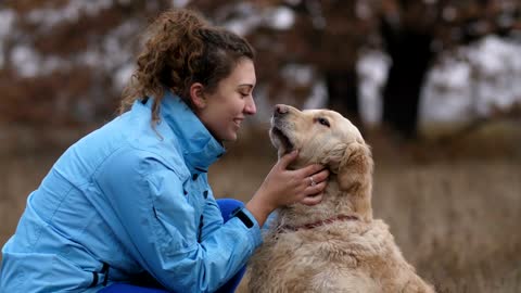 Labrador licks his owner