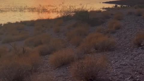 Gorgeous Alamo Lake Sunset, Arizona