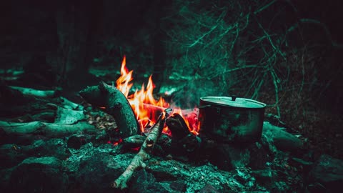 Sleep Sounds from a Campfire with Birds Chirping in Nature for Sleeping or Relaxation