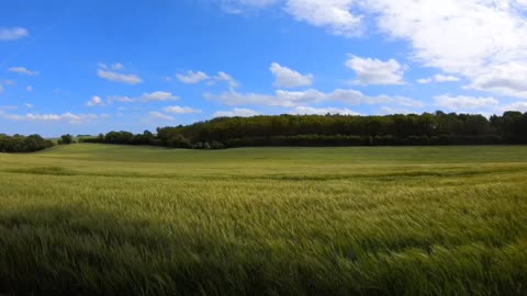 We stopped to admire the scenery.