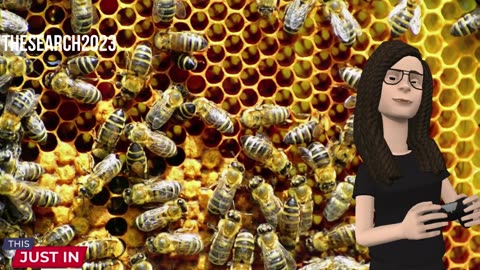 Do you know these very interesting things about honey? Episode 9: The Honey (AI, New Vision)