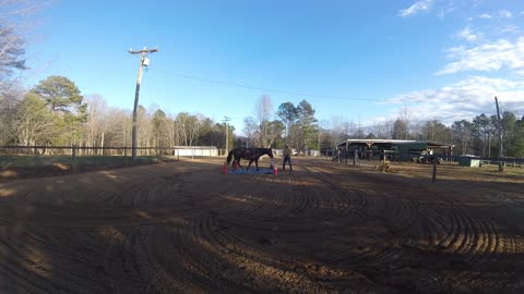 Part Time Cowboy....Cody and the tarp!