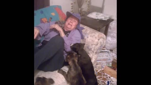 Grandmother Ambushed By Gang Of Puppies