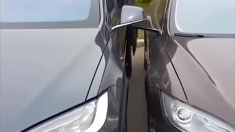 Tesla Model X Doors Opening In Tight Space