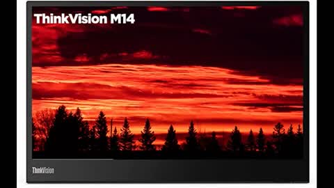 Review: Lenovo ThinkVision M14 14" Full HD 1920x1080 IPS Monitor - 300 Nit 6ms 2xUSB Type-C Por...