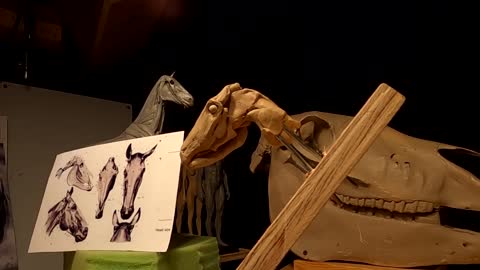 Clay sculpture tutorial to make a horse's head 6