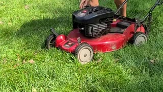 How To Have An Easy Summer Lawn Mowing Business