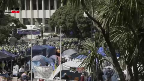 The Destruction of Camp Freedom, Wellington, NZ - Part One