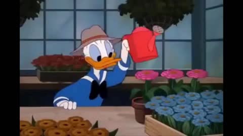 Donald Duck fall in love to honey|Disney|Kids cartoon|Kids video|Funny kids|Mickey Mouse