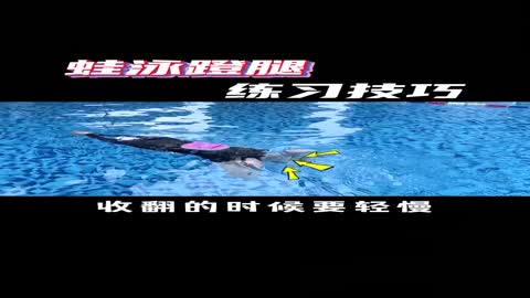 Breaststroke leg kick teaching2