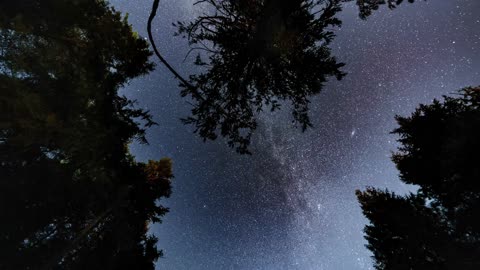Low Angle View of Stars Time Lapse