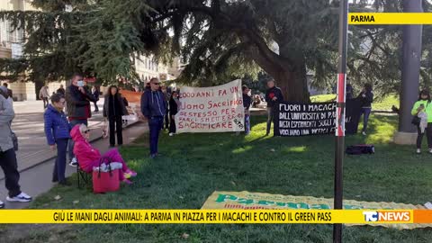 Giù le mani dagli animali e dagli umani: a Parma in piazza per i macachi e contro il green pass