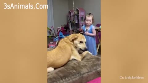 Cute Dogs and Babies are Best friends