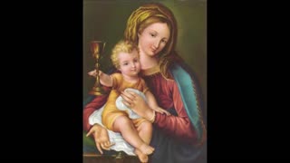 Fr Hewko, B.V. Mary, Mother of God 10/11/22 "Theotokos" (MA) [Audio]