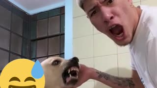 COITADO DO CACHORO🤦‍♂️😂🤣😅😅😅