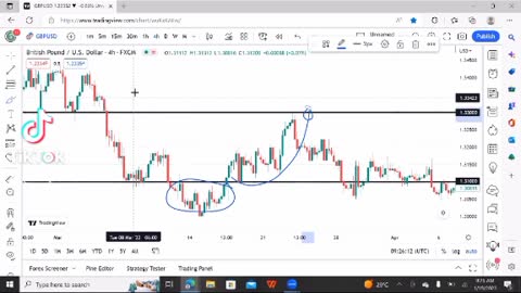 FOREX SIGNALS