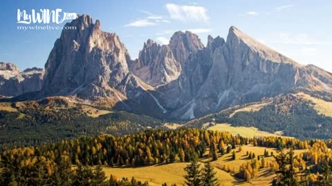 Wines of Dolomites (Alto Adige) - Live wine tasting by LIBIAMO WINES UK