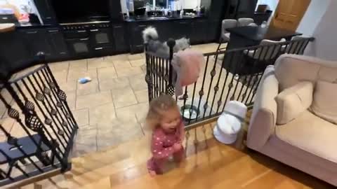 Golden Retriever Chases Little Girl Everywhere! They're Adorable Together!!