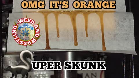 OMG! It's Orange 🍊 Pressing 'SuperSkunk' Cannabis Rosin With A 'Dab Press' 'Weed And Wrestling'