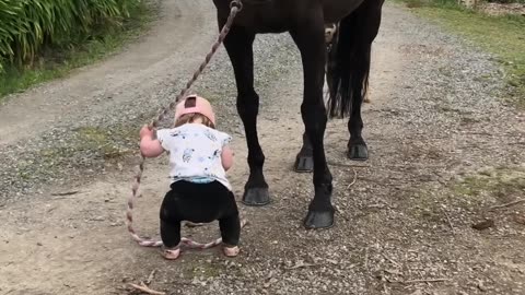 Little_Girl_Leads_Horse!!!ViralHog_video