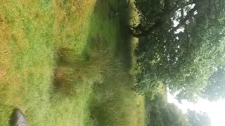 GoPro on head mount. Getting out of the tent