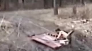 Hillbilly sledding gone wrong