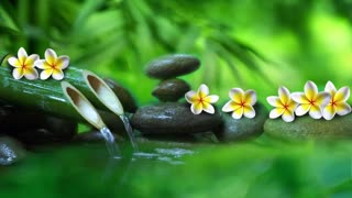 Bamboo fountain Relaxing music with the sound of Flowing water [BGM healing music] 🔴