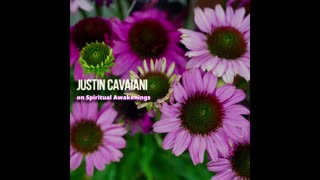 EP 1: Justin Cavaini on Spiritual Awakenings