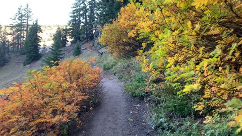 Oregon – Mount Hood – Golden Fall Colors – 4K