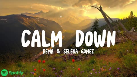 mk- Selena-Gomez- Calm Down