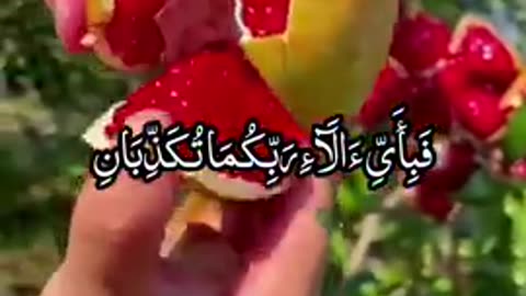 Beautiful Recitation of Quran e pak || Beautiful Tilawat e Quran e pak
