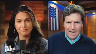 Tucker Carlson interviewed by Tulsi Gabbard - Head of senate intel committee is under their control