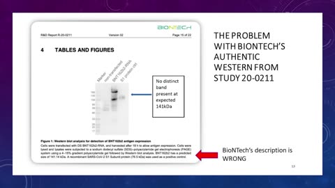 Pfizer-BNT's own analysis reveals that its gene therapy produces something, but not spike protein