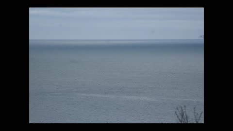 Brixham view from near Berryhead lime bay - boats