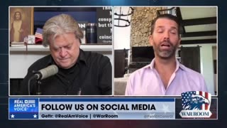 Steve Bannon & Don Jr