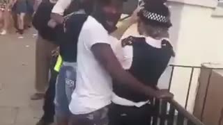 Female Officer Sexually Molested by Migrant in London