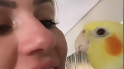 Parrot kisses 😘💋❤️