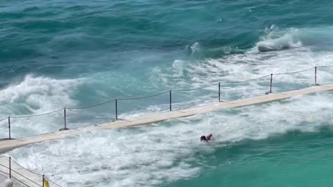 Wave Hits Swimming Pool