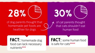 Survey finds the most common pet-related myths pet parents still believe