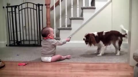 "Too Cute to Handle: Hilarious Baby and Adorable Dog Playing and Laughing Together!"