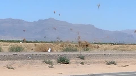 Dust Devil Scrambles Tumbleweeds in Arizona