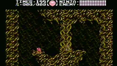 Ninja Gaiden 3 (NES) - Old TGTS World Record - 5 Lives, No Orb Recollection