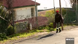 Cape Town residents wage war against baboons raiding their homes _ ABC News