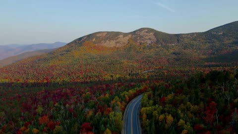 Autumn Foliage Landscape Royalty Drone
