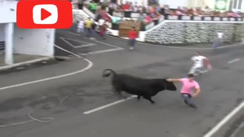 Dangerous Bull Fight Accident | Funny Videos.